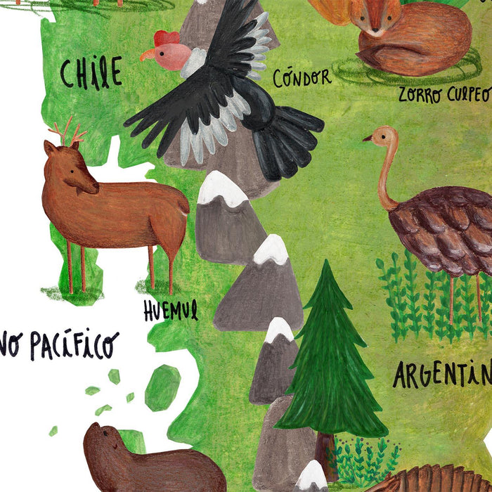 Patagonia Ilustrada - Lámina - Mappin