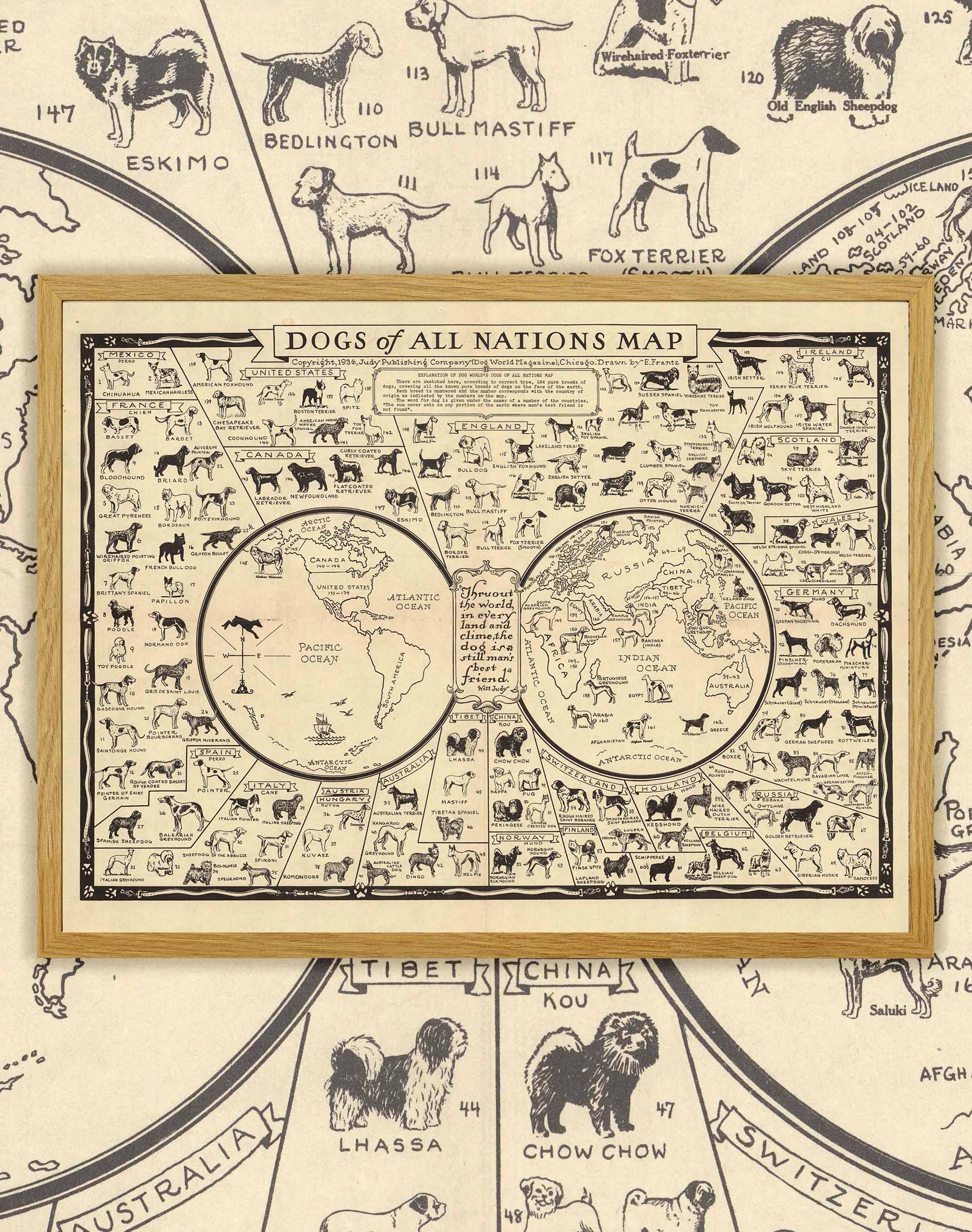 Mapa Antiguo de Perros del Mundo - Enmarcado